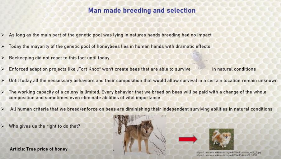 Размножение и отбор, созданные человеком, в сравнении с естественным размножением и отбором